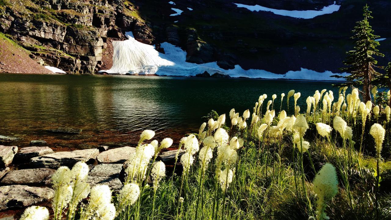 East Glacier Motel & Cabins East Glacier Park Village ภายนอก รูปภาพ